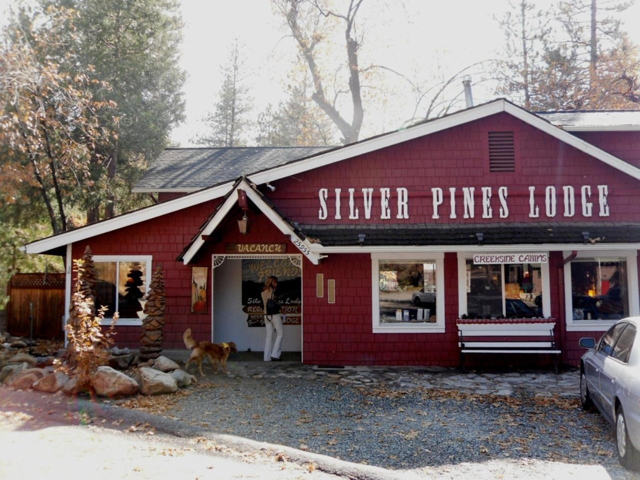 Silver Pines Lodge 아이딜와일드 외부 사진